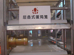 畜牧行業(yè) 客戶案例
